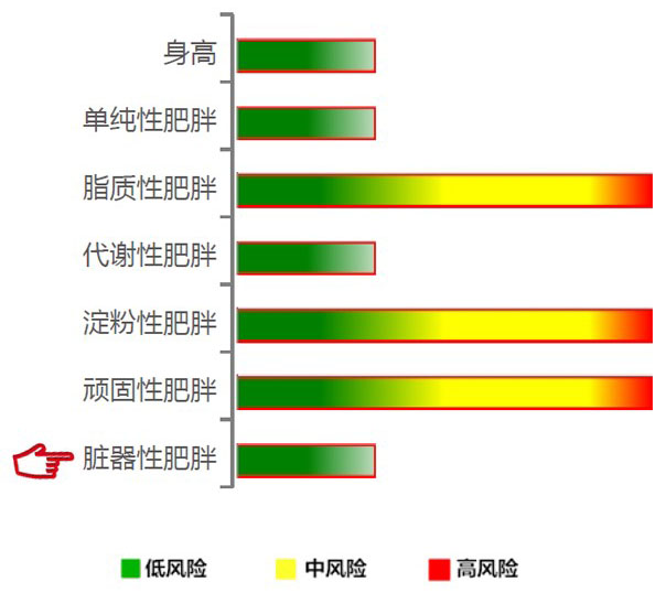 【佳学基因检测】脏器性肥胖基因解码、基因检测