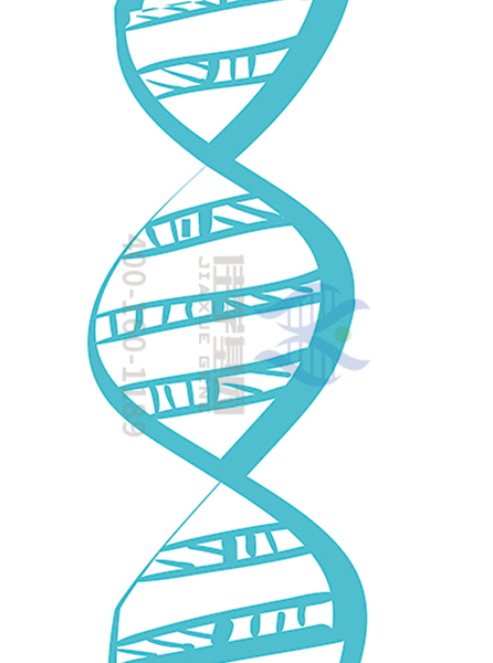 【佳学基因解码-基因检测】先天性红细胞生成障碍性贫血如何治疗? 【佳学基因解码-基因检测】先天性红细胞生成障碍性贫血如何治疗?