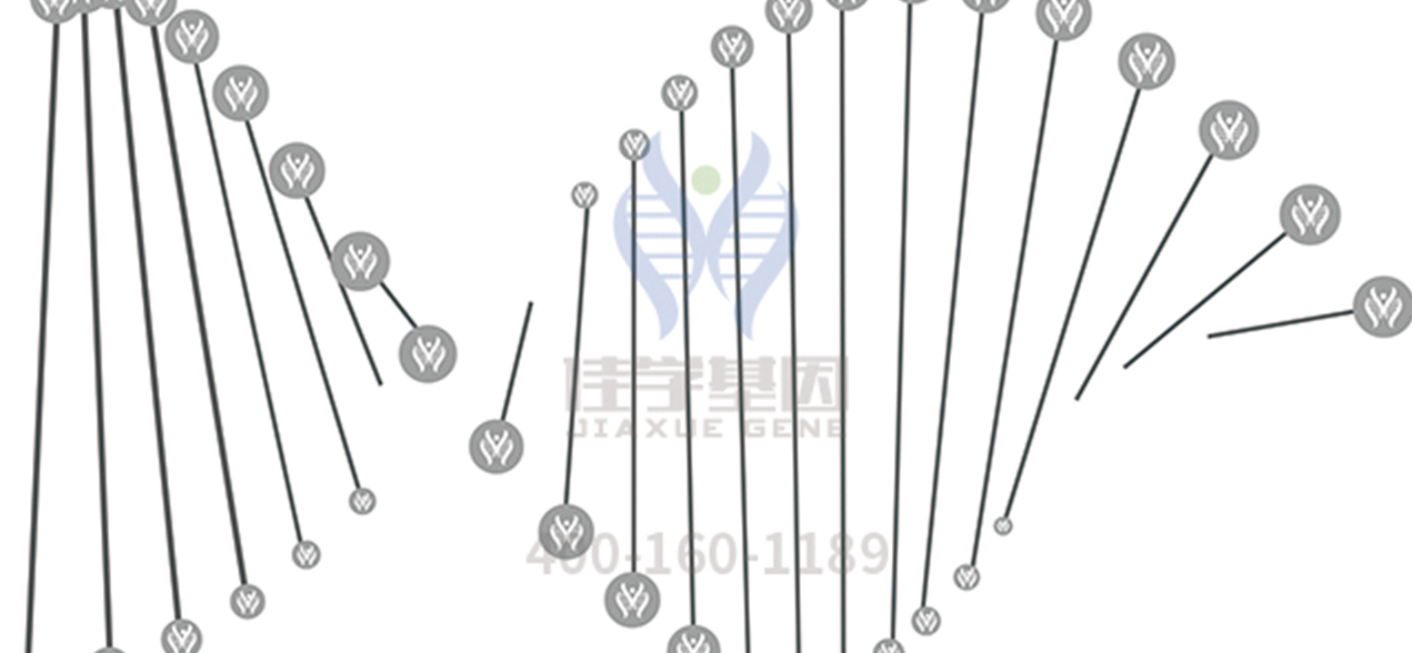 【佳学基因解码-基因检测】如何避免低磷酸酯酶症在家族中遗传? 【佳学基因解码-基因检测】如何避免低磷酸酯酶症在家族中遗传?