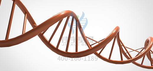 基因检测的用途和内容