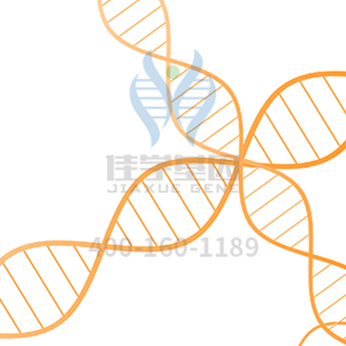 【佳学基因检测】抑郁症靶向药物有望问世,让我们一起走出抑郁 【佳学基因检测】抑郁症靶向药物有望问世,让我们一起走出抑郁