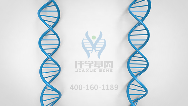 熬夜会变傻？这次真有科学依据！