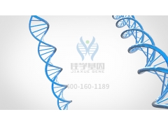 【基因矫正】人源性干细胞及其衍生细胞治疗产品临床试验技术指导原则