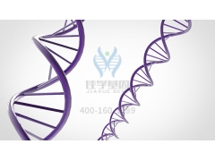 【佳学基因检测】有迹可循！天生聪明的孩子的9种表现！