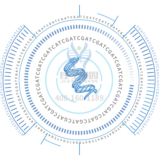 【佳学基因检测】视网膜色素变性有哪些突破性治疗方法呢？