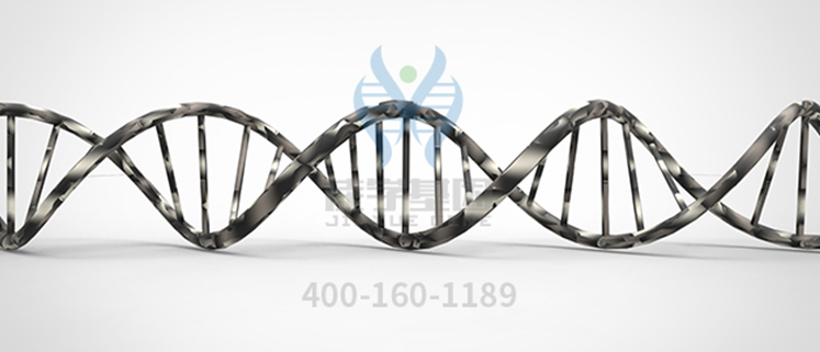 【佳学基因案例】多囊肾基因检测、基因解码 【佳学基因案例】多囊肾基因检测、基因解码
