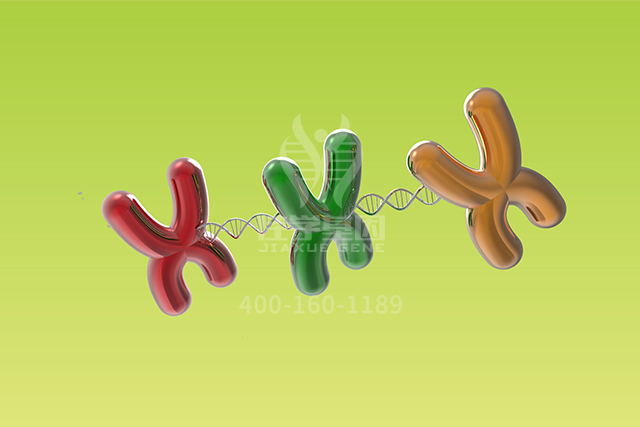 【佳学基因检测