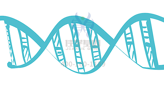 【佳学基因检测】为什么有的人总是睡不醒，有的人睡4个小时就能精力充沛？