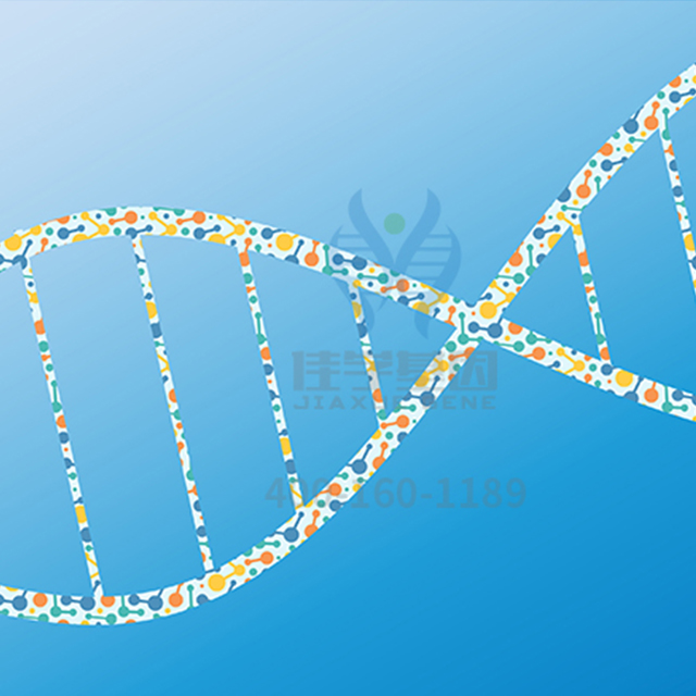 【佳学基因检测】雪莉、具荷拉之死引人深思:是自杀还是阴谋论? 【佳学基因检测】雪莉、具荷拉之死引人深思:是自杀还是阴谋论?