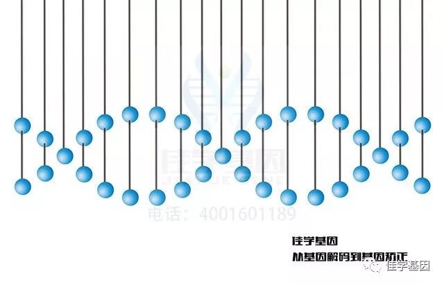 【基因解码项目】佳学基因致病基因鉴定基因解码 【基因解码项目】佳学基因致病基因鉴定基因解码
