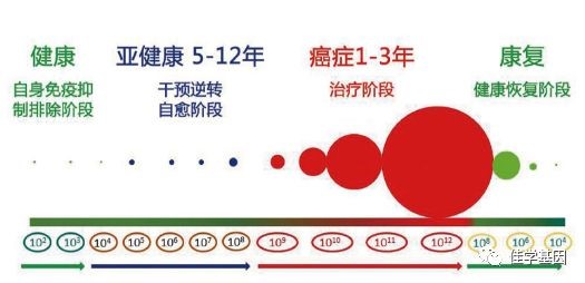 【基因解码项目】佳学基因肿瘤致病基因鉴定 【基因解码项目】佳学基因肿瘤致病基因鉴定
