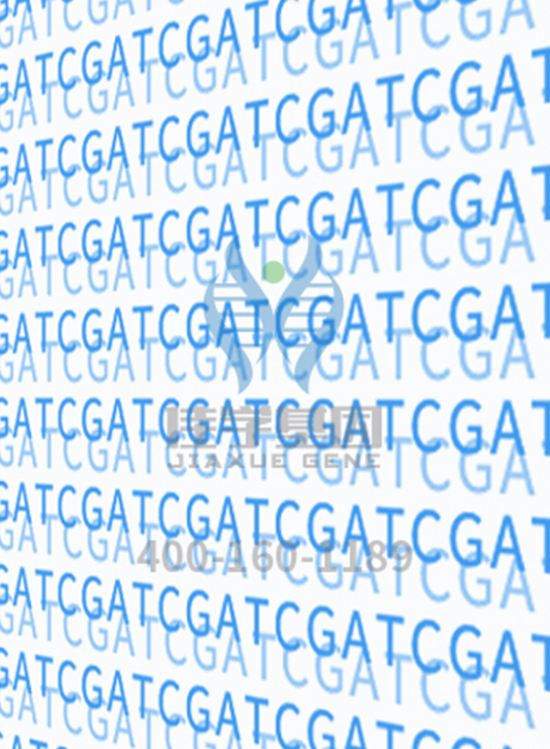 【佳学基因-基因检测】范冰冰奶奶旧照曝光美翻网友,细数那些拥有逆天颜值的“神基因”明星家族 【佳学基因-基因检测】范冰冰奶奶旧照曝光美翻网友,细数那些拥有逆天颜值的“神基因”明星家族