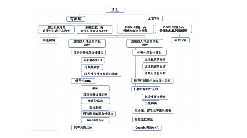 【佳学基因检测】儿童自身免疫性溶血性贫血诊疗规范(2021 年版) 【佳学基因检测】儿童自身免疫性溶血性贫血诊疗规范(2021 年版)