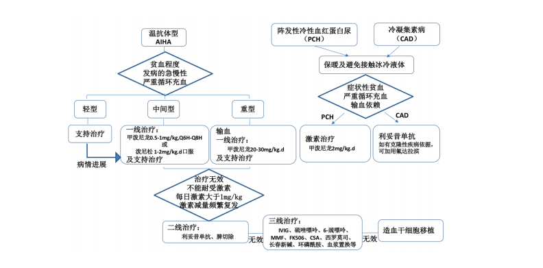 【佳学基因检测】儿童自身免疫性溶血性贫血诊疗规范(2021 年版) 【佳学基因检测】儿童自身免疫性溶血性贫血诊疗规范(2021 年版)