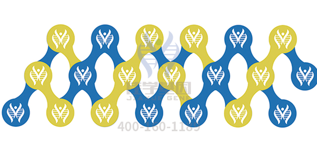 【佳学基因-基因检测】你具备福尔摩斯、柯南缜密的逻辑推理能力吗? 【佳学基因-基因检测】你具备福尔摩斯、柯南缜密的逻辑推理能力吗?