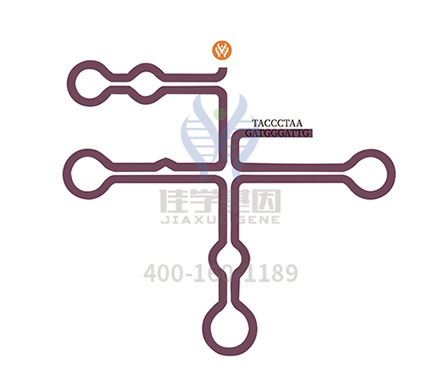 【佳学基因解码-基因检测】头痛也是病,基因解码揭秘为什么会患偏头痛? 【佳学基因解码-基因检测】头痛也是病,基因解码揭秘为什么会患偏头痛?