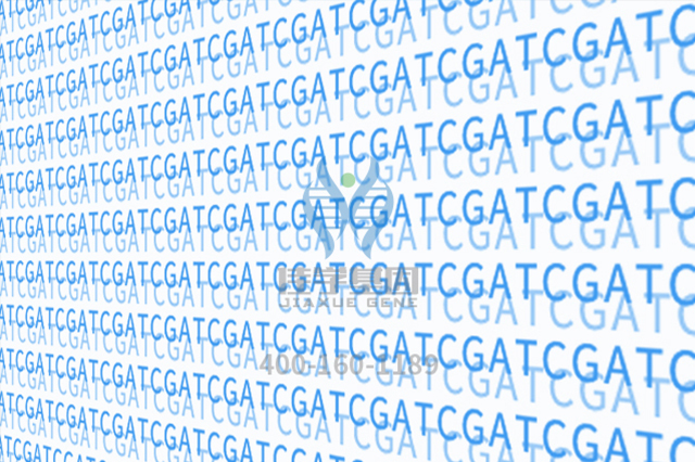 【佳学基因-基因检测】基因解码专家揭示:为什么有些人对免疫疗法的反应比其他人好? 【佳学基因-基因检测】基因解码专家揭示:为什么有些人对免疫疗法的反应比其他人好?