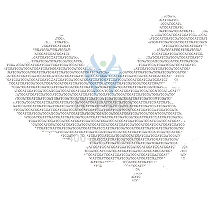 【佳学基因解码-基因检测】你有哪些习惯是由基因决定的? 【佳学基因解码-基因检测】你有哪些习惯是由基因决定的?
