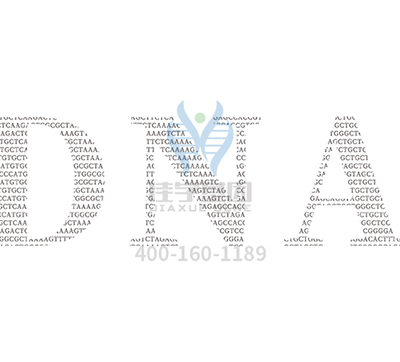 【佳学基因解码-基因检测】你有哪些习惯是由基因决定的? 【佳学基因解码-基因检测】你有哪些习惯是由基因决定的?