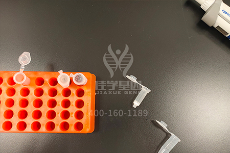 【佳学基因-基因检测】基因趣闻|最神奇的六种基因,快来测测你有吗? 【佳学基因-基因检测】基因趣闻|最神奇的六种基因,快来测测你有吗?