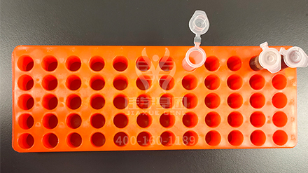 【佳学基因检测】青海省沈阳市胃癌免疫治疗基因检测机构 【佳学基因检测】青海省沈阳市胃癌免疫治疗基因检测机构