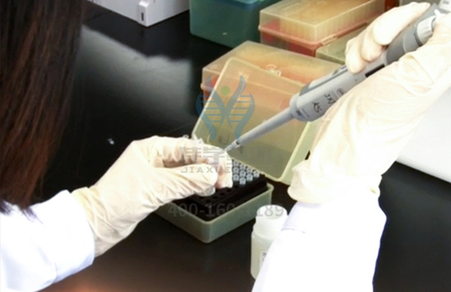 【佳学基因-基因检测】《中餐厅》第六期张亮累出心肌炎:一个容易误诊而又不能忽视的疾病! 【佳学基因-基因检测】《中餐厅》第六期张亮累出心肌炎:一个容易误诊而又不能忽视的疾病!