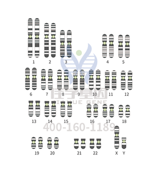 【佳学基因检测