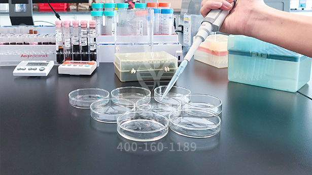 【佳学基因-基因检测】这个家庭15口人均是六指!基因解码找原因 【佳学基因-基因检测】这个家庭15口人均是六指!基因解码找原因