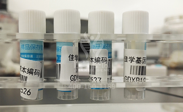 【佳学基因-基因检测】8岁女孩虚弱、呕吐、腹痛,该如何查找病因、对症治疗? 【佳学基因-基因检测】8岁女孩虚弱、呕吐、腹痛,该如何查找病因、对症治疗?